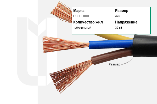 Силовой кабель ЦСБНЛШНГ 3х4 мм